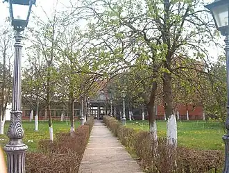 Lazarevo (Zrenjanin)