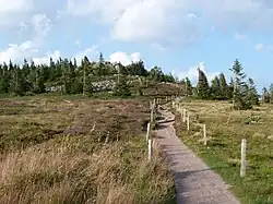 Réserve naturelle du Tanet-Gazon du Faing.