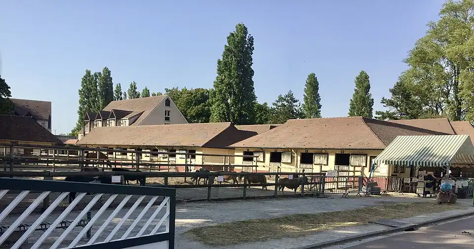 Le poney-club.