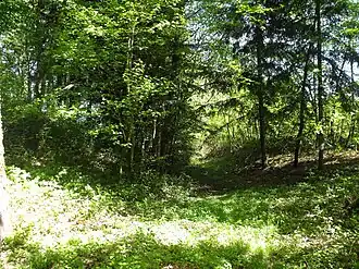 Image illustrative de l’article Enceinte de Placey