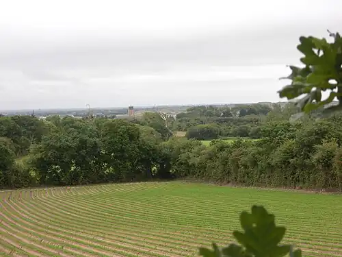 Le clocher de Saint-Germain-sur-Ay vu de la Houlegatte.