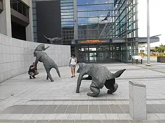 Le Quatuor d'Airain, 1996