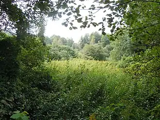 Image illustrative de l’article Zone humide de Corbelin