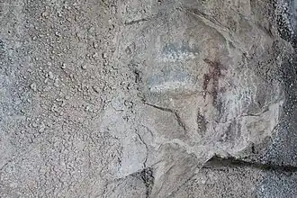 Image illustrative de l’article Abri de Lecina supérieur