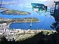 Saut à l'élastique.