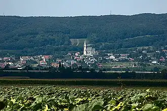 Vue depuis Eisenstadt.