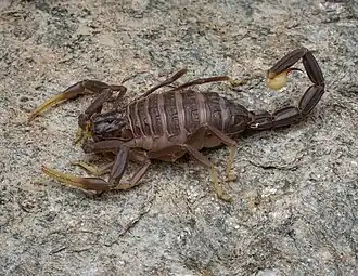 Description de cette image, également commentée ci-après