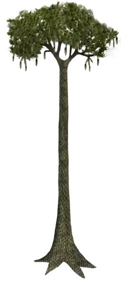 Reconstitution par le paléoartiste Tim Bertelink avec le motif de la tige arborescente.