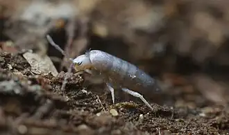Description de cette image, également commentée ci-après