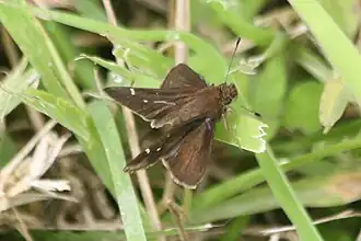 Description de cette image, également commentée ci-après