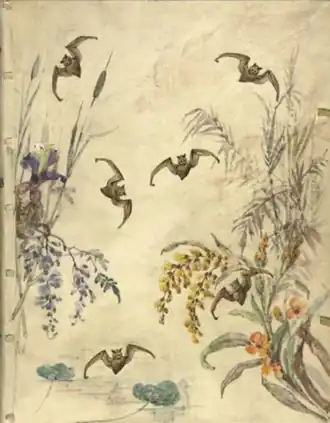 Illustration pour Les Chauves-Souris de Robert de Montesquiou (vers 1895).
