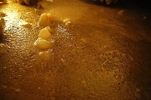 Partiellement recouverts de calcite