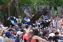 Image illustrative de l’article Grand Parc d'Andilly