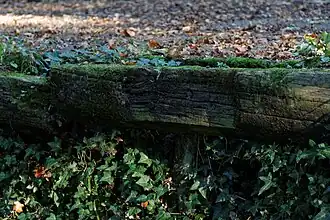 Gros-plan sur une poutre de l'ancien podium.