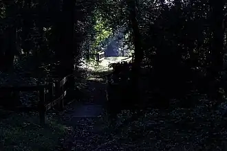 Deux passerelles en bois.