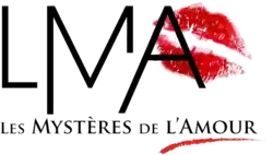 Ancien logo de la série (saisons 13 à 15)