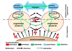 vecteurs de communication du vivant