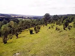 Les larris à Saint-Aubin-Rivière.
