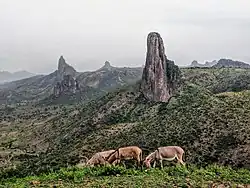 Les monts Kapsiki situés dans le Mayo-Tshanaga avec l'emblématique pic de Rhumsiki