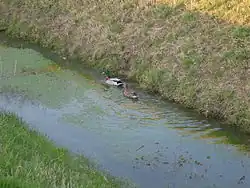 Les rigoles du plateau de Saclay.