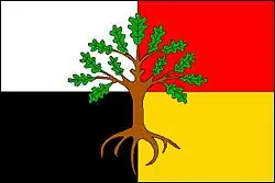 Drapeau de Leskovec nad Moravicí