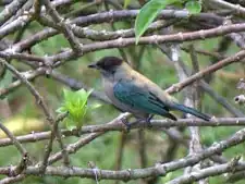 Description de cette image, également commentée ci-après