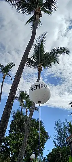 Image illustrative de l’article Leu Tempo Festival