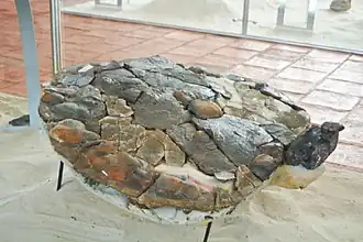 Description de cette image, également commentée ci-après