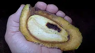 Description de cette image, également commentée ci-après