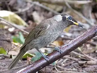Description de cette image, également commentée ci-après