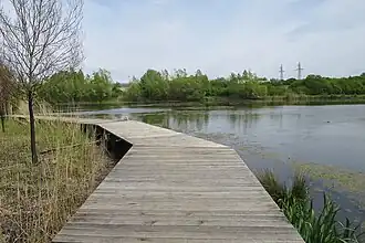 Ponton le long de la rive nord de l'étang.