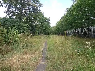 Sud de la gare de la Muette (friche depuis aménagée, en 2019).