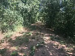 Lieu-dit Rolnier à Concremiers