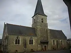 Nef et collatéral.