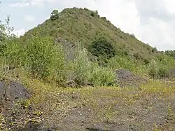 Le terril no&nbsp;31.