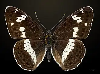 Description de cette image, également commentée ci-après