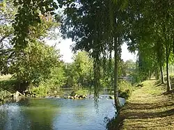 La Cisse à Limeray.