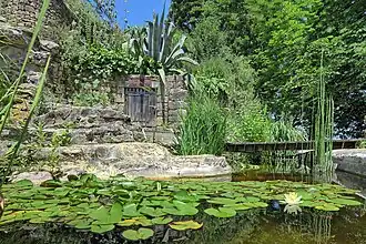 Le jardin d'eau.