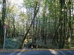 Ruisseau comme limite communale.