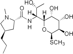 Image illustrative de l’article Lincomycine