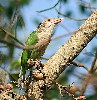 Description de cette image, également commentée ci-après