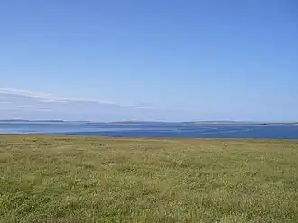 Image illustrative de l’article Linga Holm