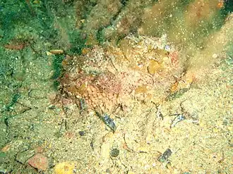 Description de cette image, également commentée ci-après