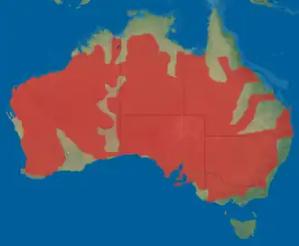 Description de l'image Little Button Quail.png.