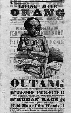 Détail d'affiche, gravure d'un orang-outan assis ressemblant à un Noir.