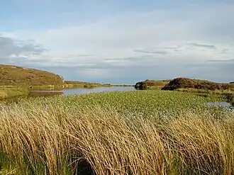 Image illustrative de l’article Soay (Hébrides intérieures)