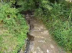 La Logne presque à sec près de Chalmont.
