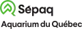 Image illustrative de l’article Aquarium du Québec