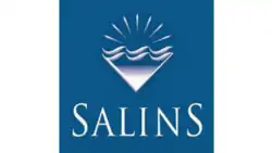 logo de Salins (entreprise)