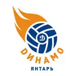 Logo du Dynamo-Yantar